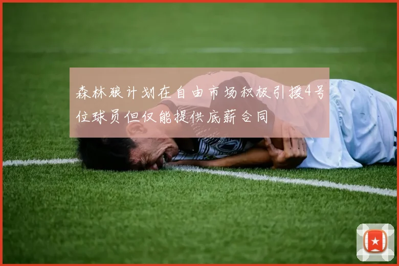森林狼计划在自由市场积极引援4号位球员但仅能提供底薪合同