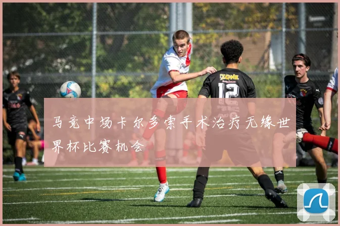 马竞中场卡尔多索手术治疗无缘世界杯比赛机会